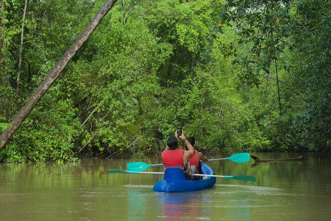 Mangrove Damas Island Kayak Tours - Why This Tour Is Worth the Price