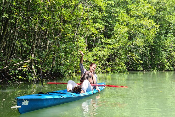 Mangrove Forest Kayak Exploration - The Sum Up: Who Should Consider This Tour?