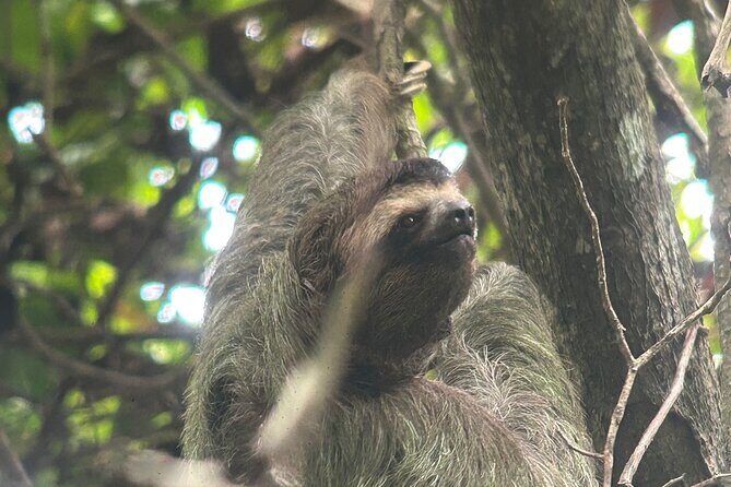 Manuel Antonio National Park Guided Tour - What Makes It Special?