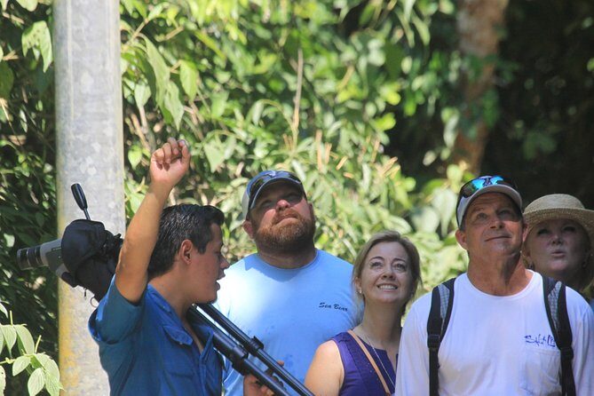 Manuel Antonio National Park guided tour - An In-Depth Look at the Manuel Antonio Guided Tour Experience