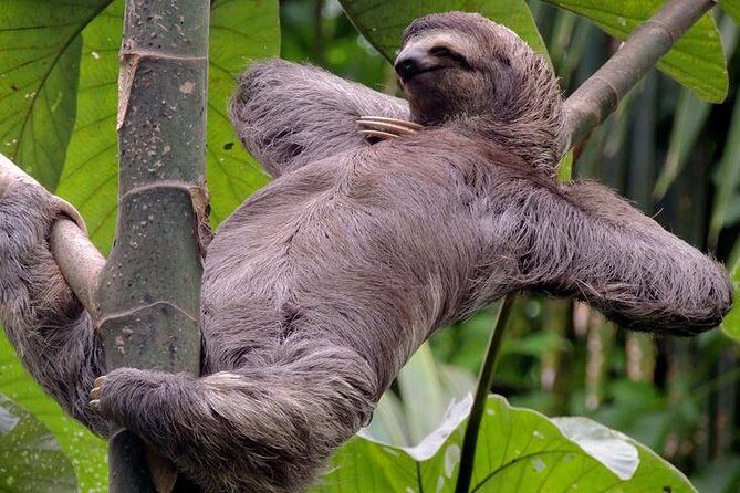 Manuel Antonio National Park Guided Tours - Exploring the Itinerary in Detail