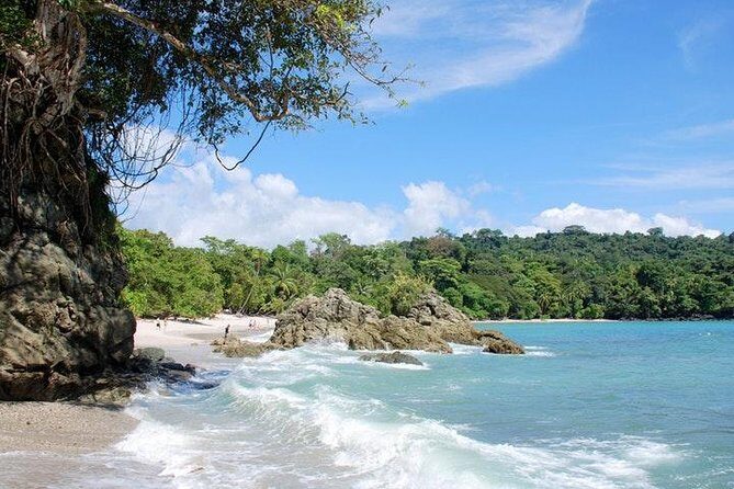 Manuel Antonio National Park one day tour from San Jose - The Sum Up: Is It Worth It?