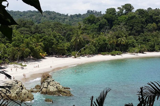 Manuel Antonio National Park Sightseeing and Wildlife Day Tour from San Jose - A Deep Dive into the Experience