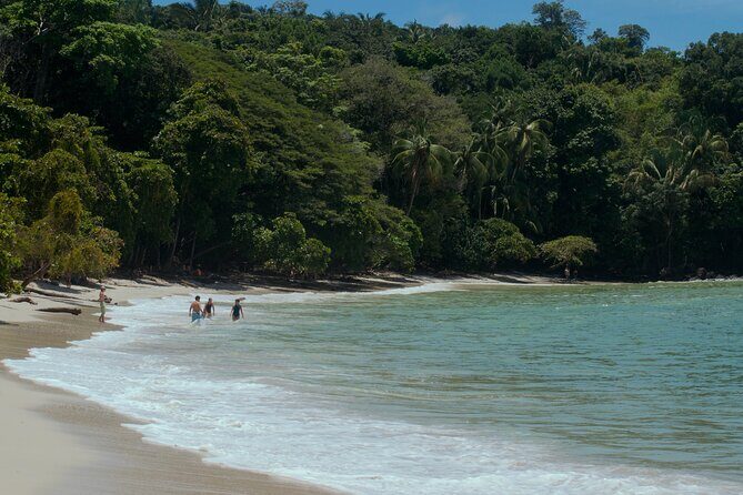 Manuel Antonio National Park Tour - Final Thoughts: Is This Tour Right for You?