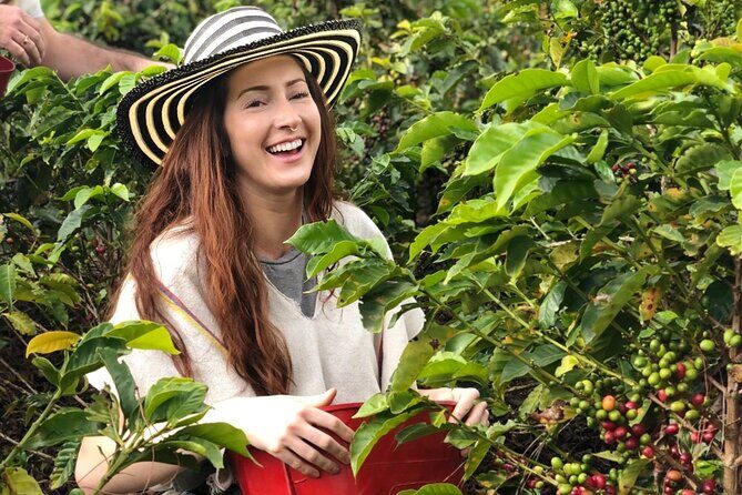 Medellin Coffee Farm Tour with Cable Car Ride - Why This Tour Works