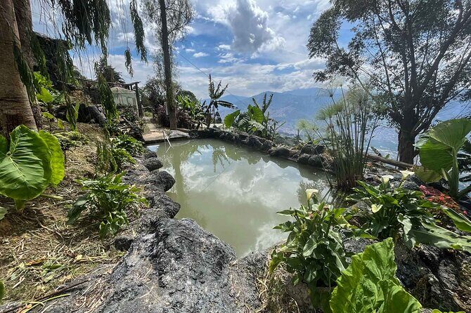 Medellin Coffee Tour & Spa - Authentic Cultural and Wellness Experiences