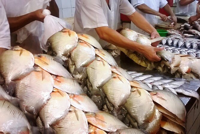 Meeting of the Waters and Amazonas Opera House - Half Day Tour - Who Should Consider This Tour?