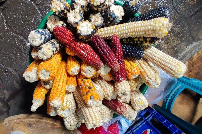 Meeting the guatemala´s culture with a local guide in Antigua. - FAQ