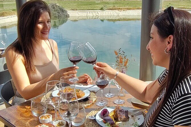 Mendoza Winery Tour with Olive Trees in Private Service - Who Would Enjoy This Tour?