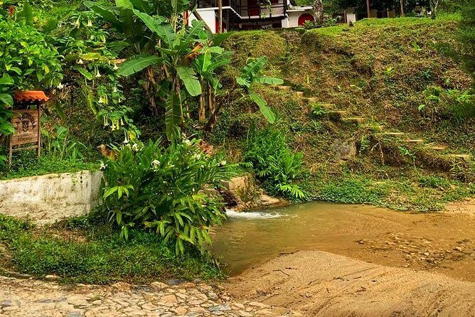 MINCA TOUR - Explore waterfalls and discover the origin of coffee and cocoa - Authenticity and Value