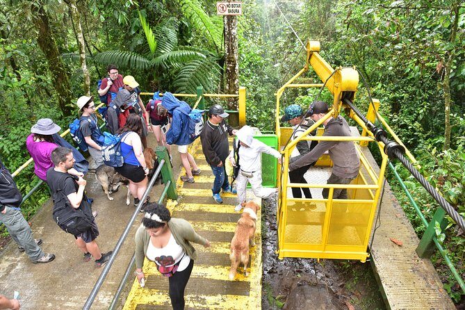 Mindo: Bird watching, Chocolate, Waterfall and Adventure - Practical Tips for Travelers