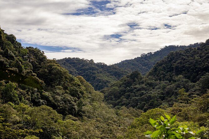 Mindo Cloud Forest Experience THE CUSTOMIZELY ONE from Quito - The Waterfalls and Cable Car Adventure