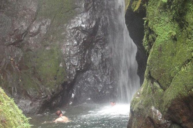 MINDO CLOUD FOREST - Nature & Birds - Personalized Experience - A Deep Dive into the Mindo Cloud Forest Tour