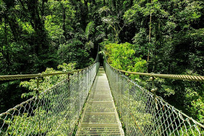 Mistico Hanging Bridges - What to Expect from the Mistico Hanging Bridges Tour