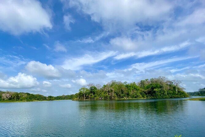 Monkey Watch and Gatun Lake Wildlife Safari Private Tour - Who is This Tour Best For?