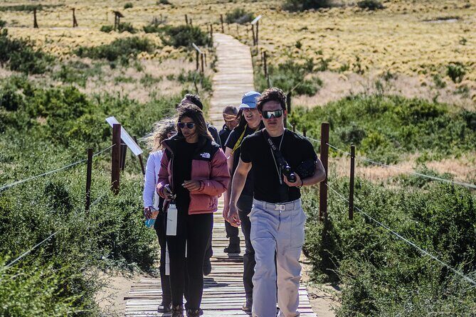 Monte Leon 4x4 Sea Lions and Penguins - The Value of the Experience