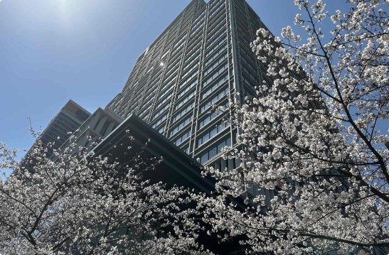 Monterey Grasmere Osaka