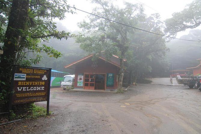 Monteverde Cloud Forest Reserve Guided Walk - Exploring the Monteverde Cloud Forest: An In-Depth Review