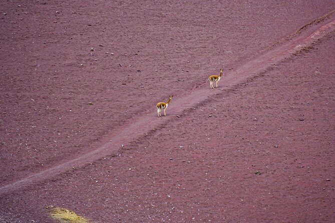 Mountain Hike Colors full day - with guide - FAQ