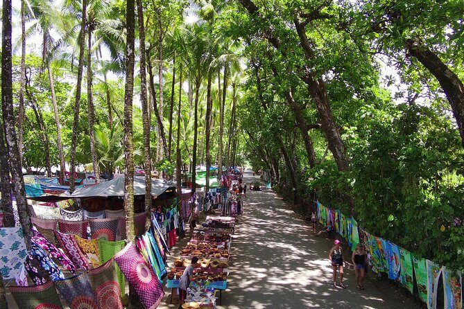 Nauyaca Waterfall Adventure -All-Inclusive Full Day tour - Details that Matter: Transportation, Group Size, and Comfort