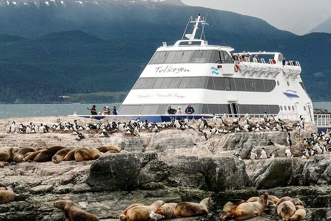 Navigation to Beagle Channel and Sea Lions Island with Transfers - An In-Depth Look at the Beagle Channel Catamaran Tour
