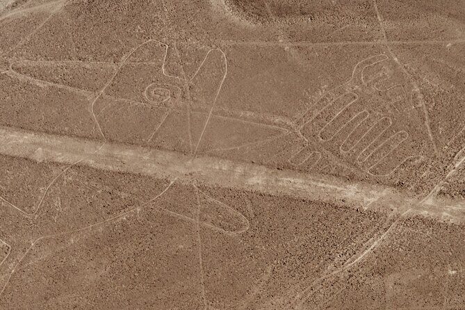 Nazca Lines + Cantalloc Aqueducts - In-Depth Review of the Nazca Lines + Cantalloc Aqueducts Tour