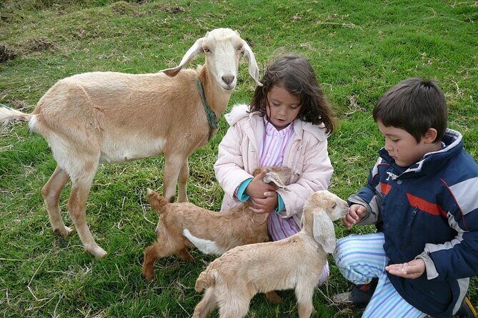 Pablo Escobar Hacienda Napoles Private Full Day Tour - Who Should Consider This Tour?