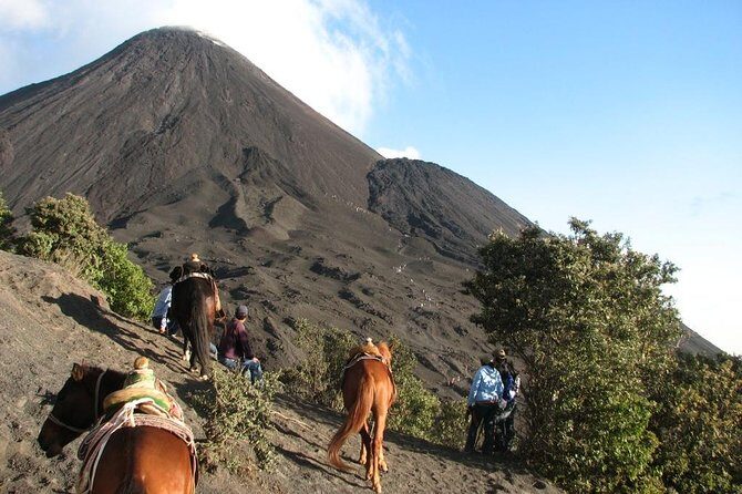 Pacaya Volcano Day Trip from Antigua - Who Will Love This Tour
