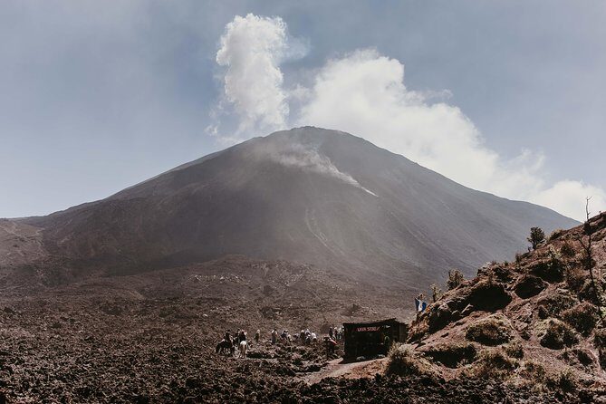 Pacaya Volcano Shared Hiking Tour - Authentic Experiences and Real Traveler Insights