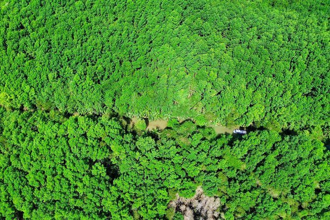 Paddle Through Paradise: Mangrove Kayak Adventure - The Sum Up