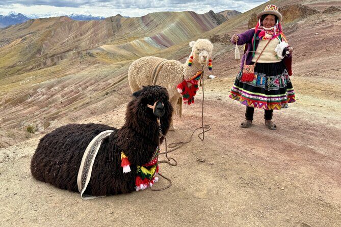 Palccoyo Rainbow Mountain Tour - Scenic Hike & Andean Lunch - Final Thoughts