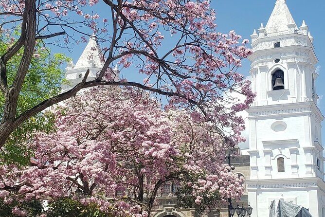 Panama City Tour - The Sum Up