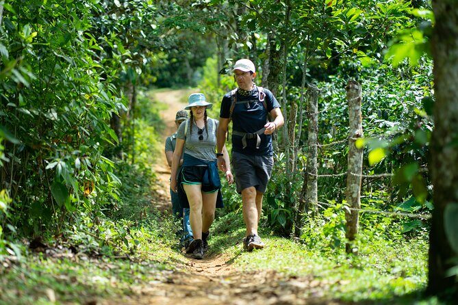 Pance Waterfalls: Hike to discover the biodiversity of the valley - Final Thoughts: Who Should Sign Up?