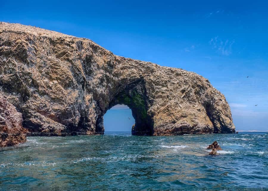 Paracas: Ballestas Islands and Candelabro Boat Tour - The Value of This Experience