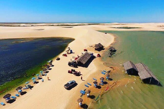 Paradise Lagoon tour - Who Will Love This Tour?