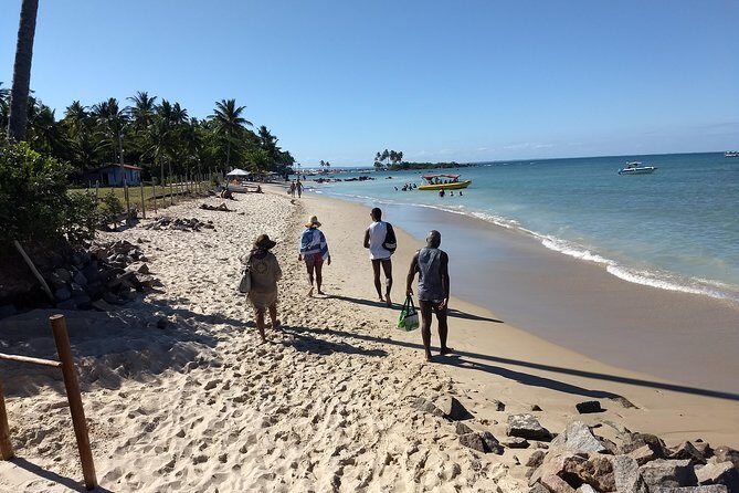 Paradise Morro de São Paulo Island Tour from Salvador - The Itinerary in Detail: What to Expect