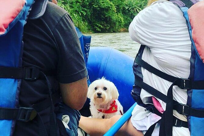 Peñas Blancas River: Wildlife Safari Experience by Raft - The Value of a Wildlife Rafting Safari