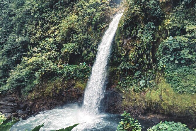 Poás Volcano and Coffee Tour with Tasting and La Paz Falls - Authenticity and Value