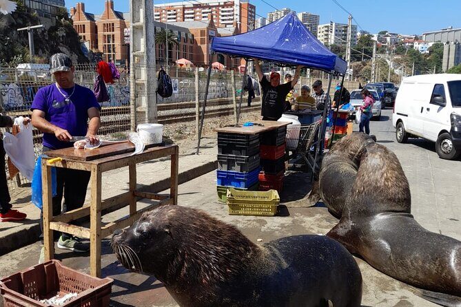 Post-Cruise Valparaíso & Viña del Mar Tour to Santiago 4-Pax Deal - Who Is This Tour Best For?