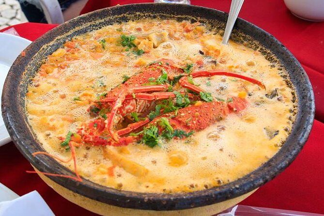 Praia do Forte Full Day Tour, Salvador, Bahia, Brazil - Key Points