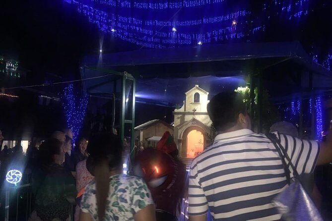 Private Christmas Lights Tour in Medellin - What Do Reviewers Say?