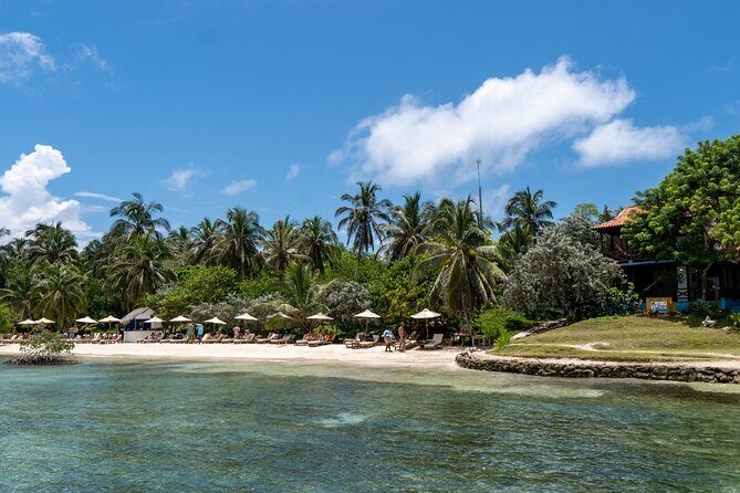 Private Full Day Tour 5 Spots Rosario Islands VIP - Analyzing the Value versus Cost