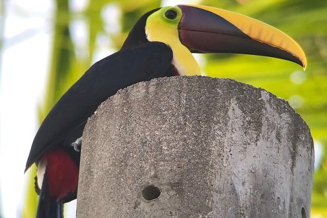 Private Guided Walking Tour in Hacienda Baru TICKET NOT included - Final Thoughts on the Hacienda Baru Guided Tour