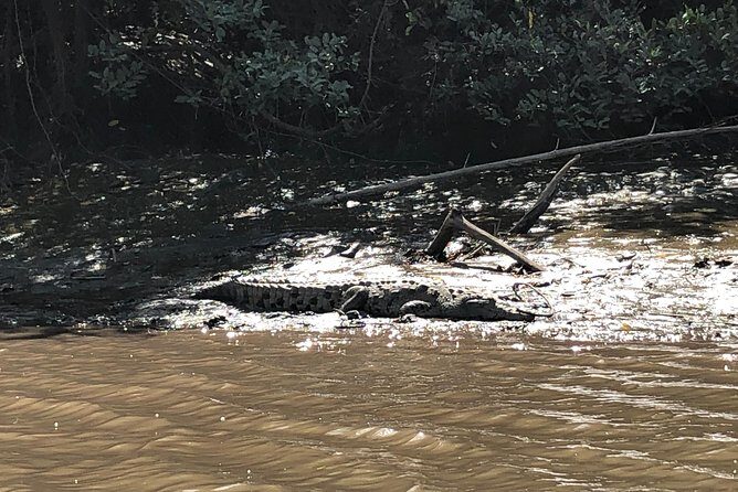 Private tours and transfer Costa Rica - Why This Tour Offers Great Value