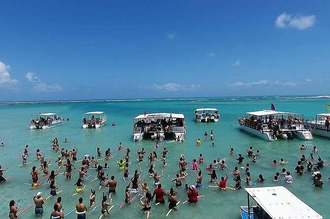 Private Transfer from Recife Airport to Maragogi - Value Assessment: Is It Worth It?