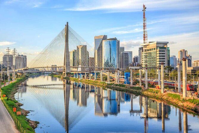 Private Transfer to Sao Paulo from the Airport - Overview of the Experience