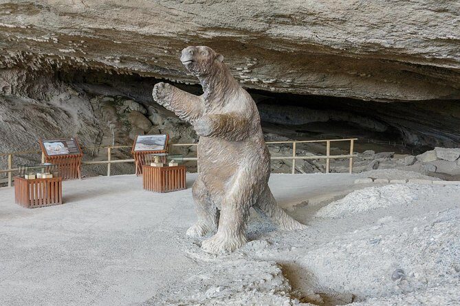 Puerto Natales: Full day tour Torres del Paine - Frequently Asked Questions