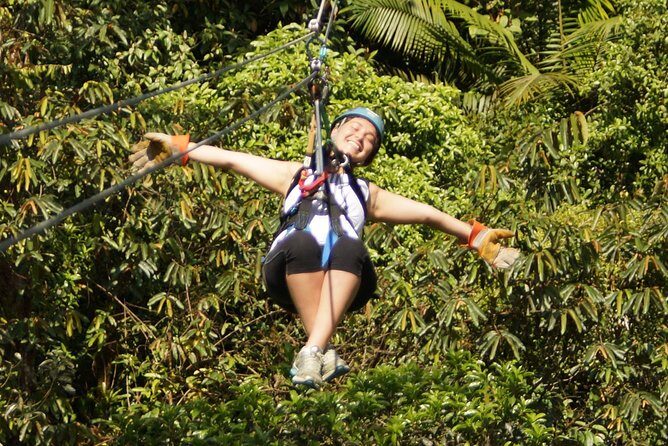 Rainforest Zip-Line Adventure  Braulio Carrillo, Costa Rica - Exploring the Details of This Rainforest Zipline Tour