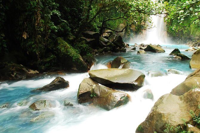 Rio Celeste Full-Day Hike: Blue Waterfall & Tenorio Volcano - What Travelers Say
