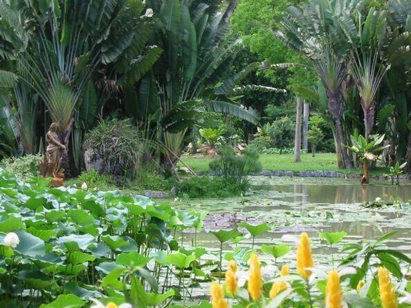 Rio de Janeiro Botanical Garden Tour - An In-Depth Look at the Rio de Janeiro Botanical Garden Tour